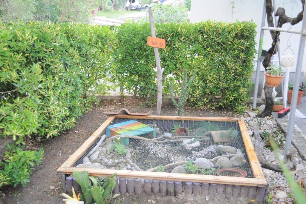 Banjol Little House Kucicaヴィラ エクステリア 写真